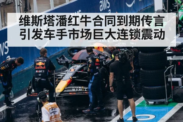 Red Bull Racing team