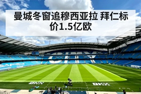 Manchester City football