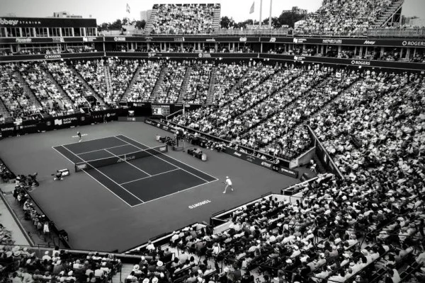 ATP维也纳公开赛辛纳冲冠与梅德韦杰夫半区形势深度前景分析
